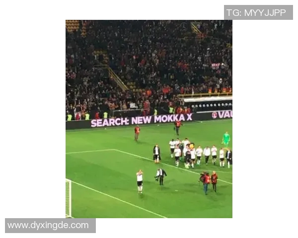 比利时法语足球明星的崛起与辉煌历程探秘