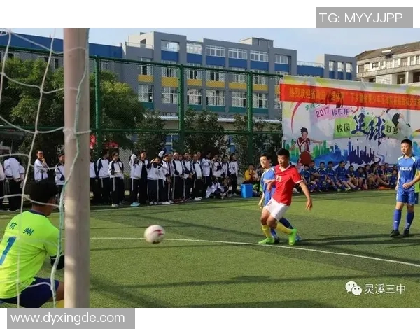 灵溪足球明星阵容揭秘他们的成就与影响力分析